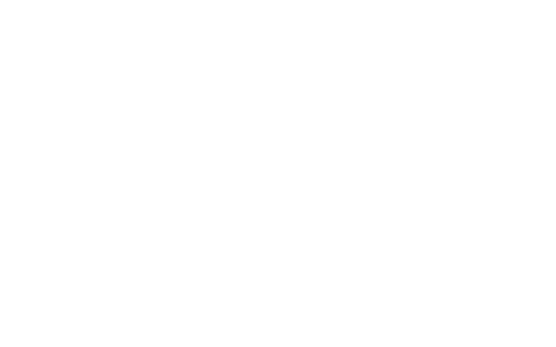 Waverley Insurance Agency - Logo 800 White